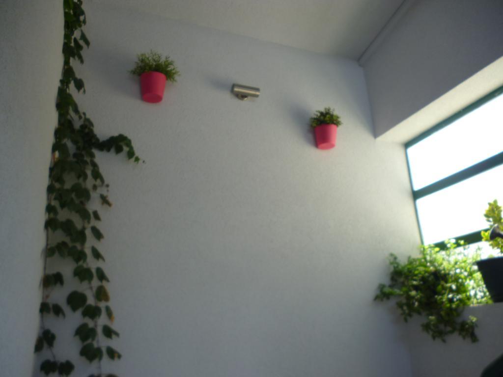 Apartment Duje Makarska Esterno foto